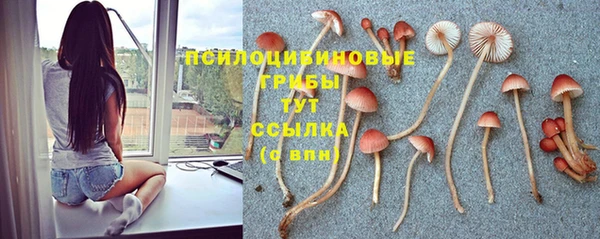 соль курить ск Арсеньев