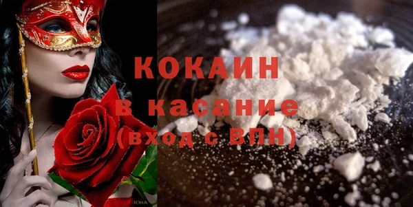крисы Аркадак