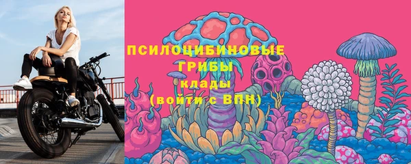 крисы Аркадак